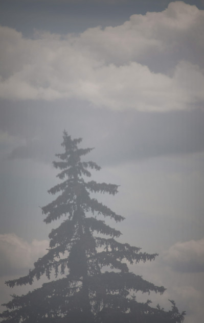 fotograf-ausbildung-umschulung-fotografie-studium-absolvent-kolbow05