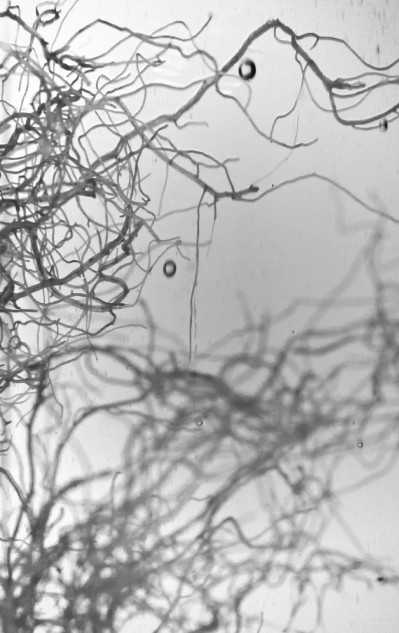 fotograf-ausbildung-umschulung-fotografie-studium-absolvent-kolbow03