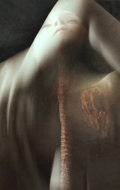 fotograf-ausbildung-umschulung-fotografie-studium-absolvent-kolbow10