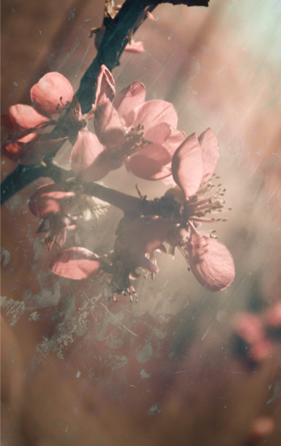 fotograf-ausbildung-umschulung-fotografie-studium-absolvent-kolbow07