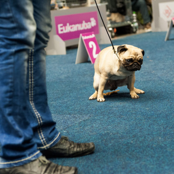 ausbildung-zur-fotografin-koeln-annette-voelkner-studium-fotografie-07