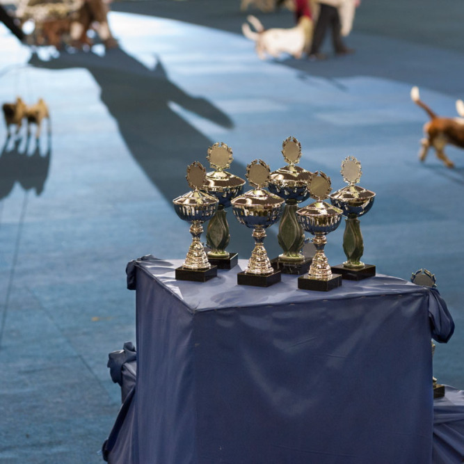 ausbildung-zur-fotografin-koeln-annette-voelkner-studium-fotografie-05