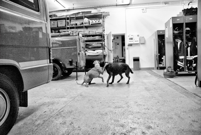 britta-strohschen-fotograf-ausbildung-berufsbegleitend-studium-fotografie-01