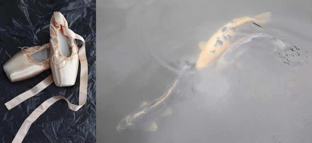 fotograf-ausbildung-umschulung-fotografie-studium-hettesheimer-202