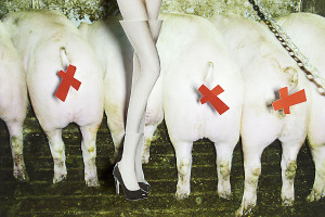 antonia-lange-fotograf-ausbildung-koeln-05