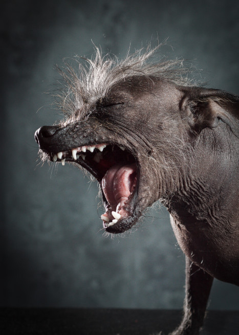 info-fotografie-studium-koeln-klaus-dyba-erfahrungen-ausbildung-fotograf-005