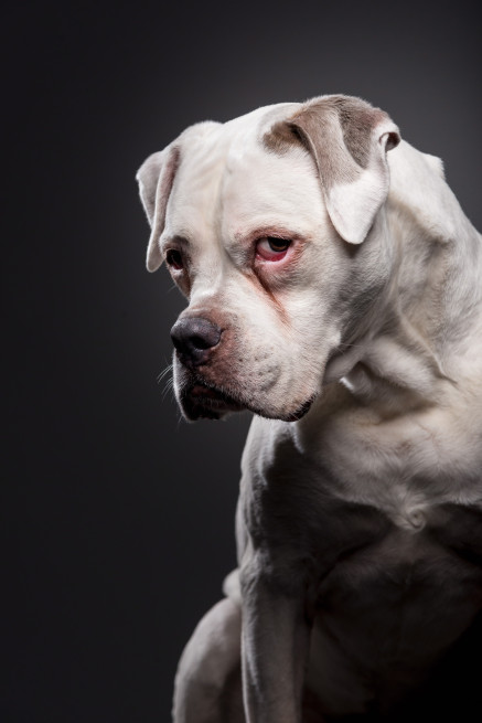 info-fotografie-studium-koeln-klaus-dyba-erfahrungen-ausbildung-fotograf-006