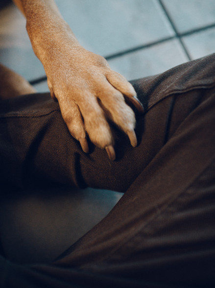 info-fotografie-studium-koeln-klaus-dyba-erfahrungen-ausbildung-fotograf-028