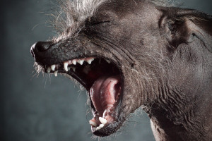 info-fotografie-studium-koeln-klaus-dyba-erfahrungen-ausbildung-fotograf-06