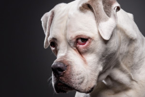 info-fotografie-studium-koeln-klaus-dyba-erfahrungen-ausbildung-fotograf-04