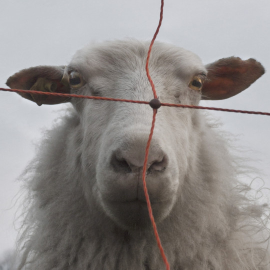 ausbildung-fotograf-studium-nrw-koeln-kuenstlerisch-04