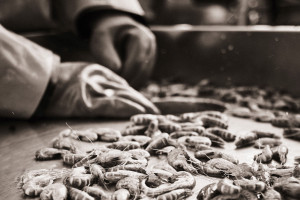 christof-jakob-fotograf-ausbildung-studim-fotodesign-05