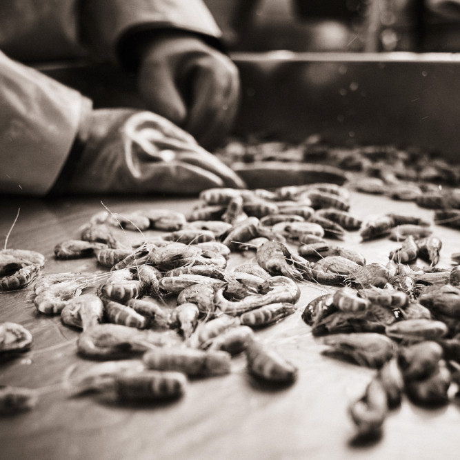 fotografie-studium-nrw-ausbildung-fotograf-koeln-christof-jakob-christof-jakob05