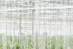 cord-richert-fotograf-ausbildung-industriefotograf-04