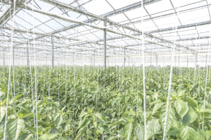 cord-richert-fotograf-ausbildung-industriefotograf-02