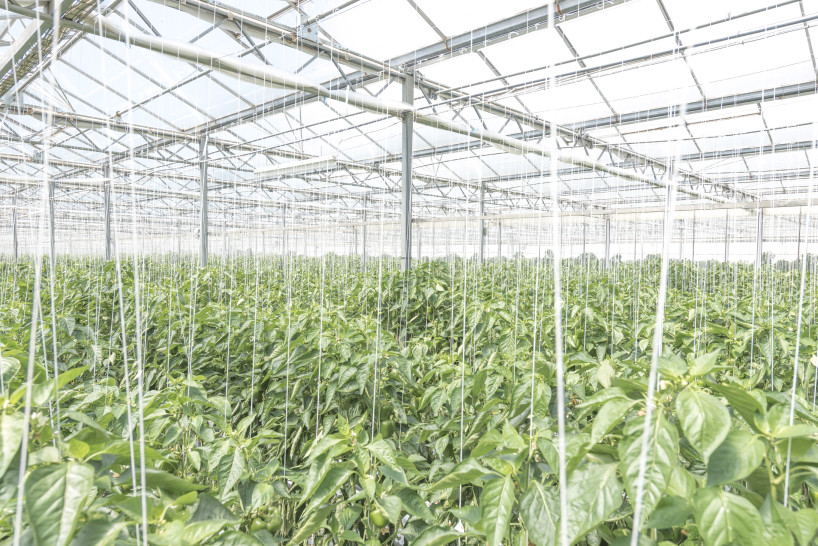 fotografie-studium-nrw-ausbildung-fotograf-koeln-christof-jakob-cord02