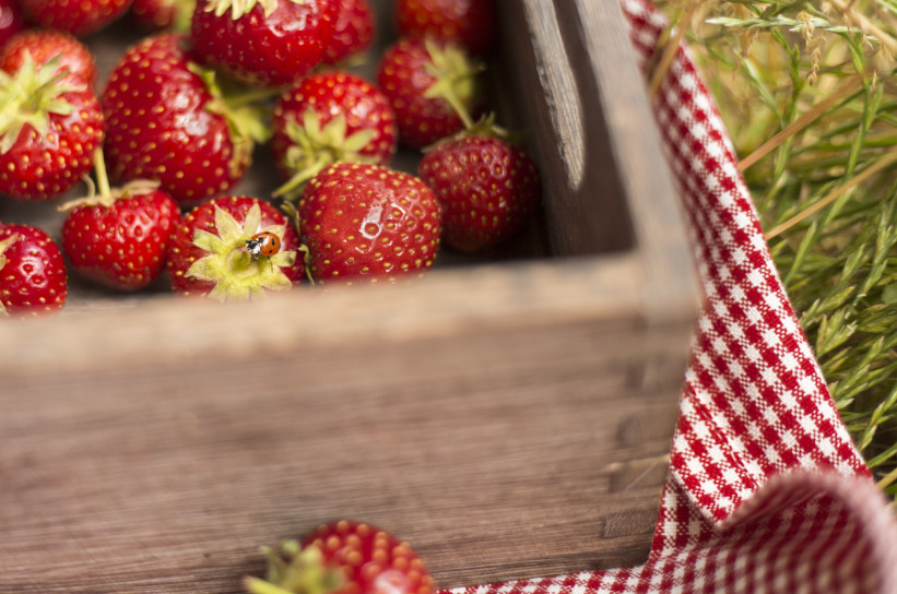 bewerbung-fotograf-ausbildung-koeln-studium-fotografie-14