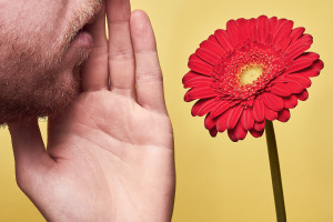 simon-fricke-banner-01