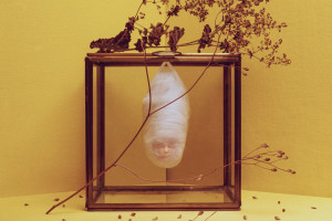 levin-lee-vorschau-02