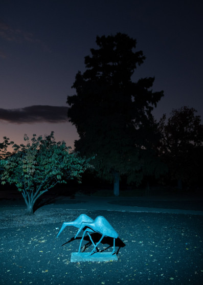 oliver-kuehnel-fotograf17