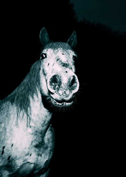 oliver-kuehnel-fotograf53