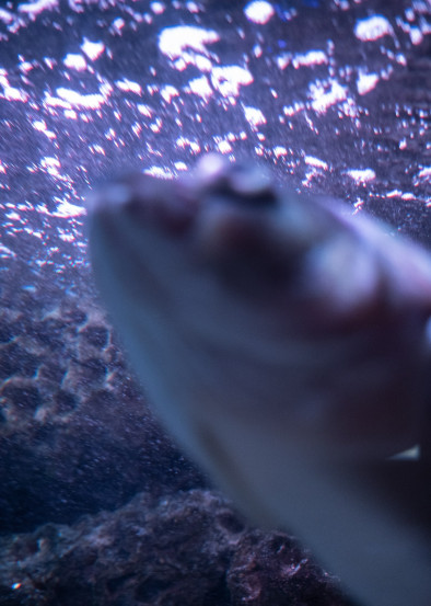 oliver-kuehnel-fotograf41