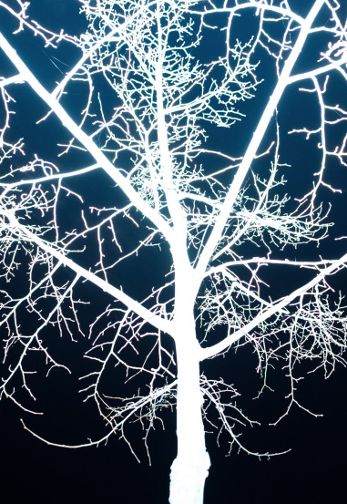 oliver-kuehnel-fotograf46