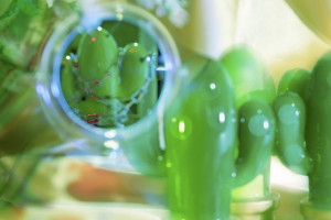 silvia-beutler-fotografin-erfahrungen062