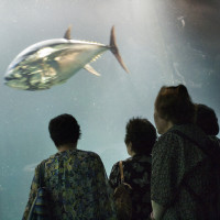 dozent-der-ausbildung-frank-duerrach-01