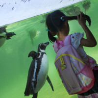 japan-ausbildung-fotograf-studim-fotografie-frank