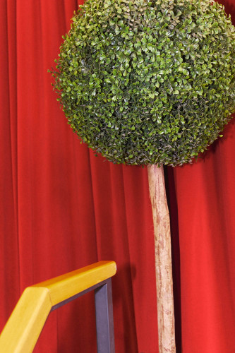 fotograf-ausbildung-nrw-deutschland-fotografie-studium-umschulung-streetfotografie-abschluss-3