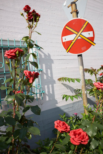 fotograf-ausbildung-nrw-deutschland-fotografie-studium-umschulung-streetfotografie-verbot