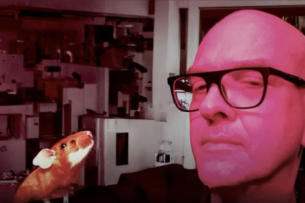 Ai und KI h&auml;lt Einzug in die Ausbildung zum Fotografen. Neue Bilder werden m&ouml;glich.